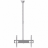 Sunne Ceiling mount PL-C62 Tilt 37-70 " Maximum weight (capacity) 50 kg Silver