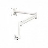 EDBAK Wall mount MSA02w-B Double Swing Arm Tilt 10-29 " Maximum weight (capacity) 10 kg White