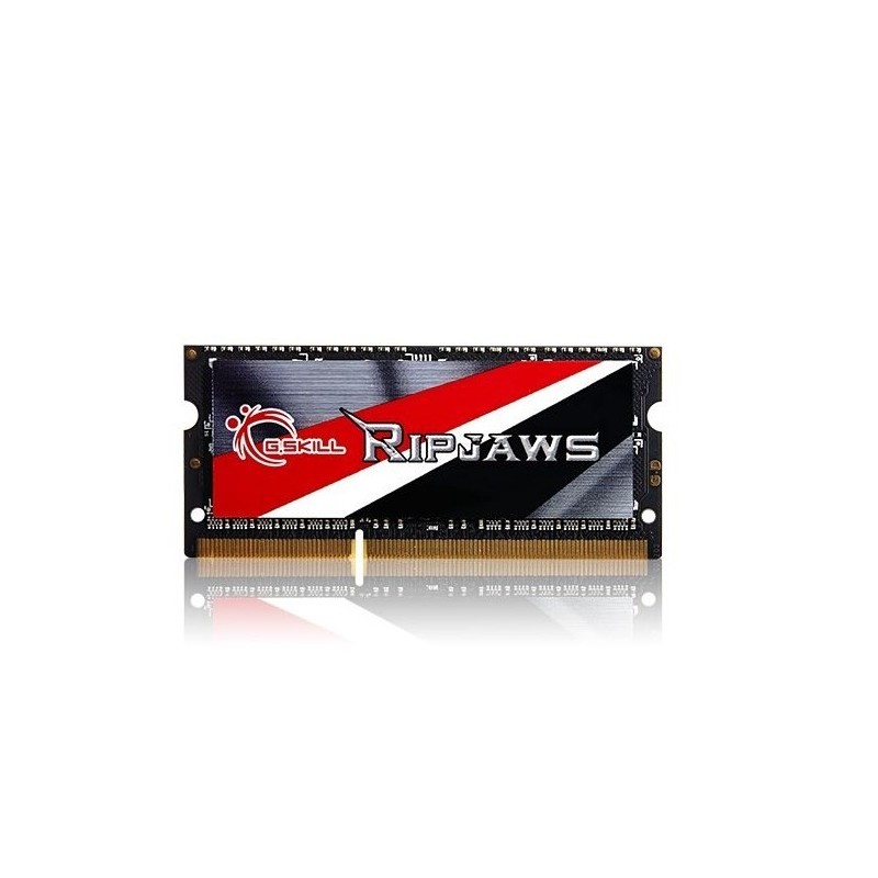 G.Skill 4GB DDR3-1600 memory module 1 x 4 GB 1600 MHz