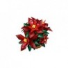 LEGO ICONS 10370 Poinsettia