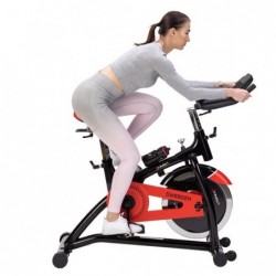 SW8902N SPIN BIKE HMS