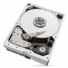 Seagate IronWolf Pro ST10000NT001 internal hard drive 10 TB 7200 RPM 256 MB 3.5"