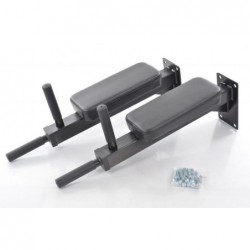 Wall Mounted Dip Bar...