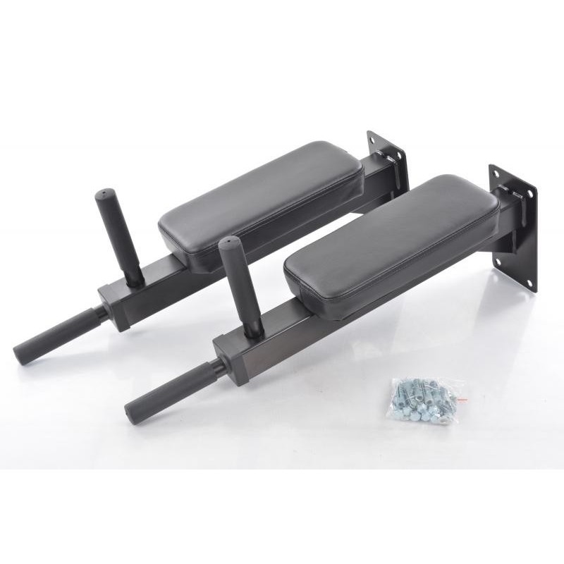 Wall Mounted Dip Bar DY-DR-1064