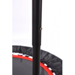 Trampoline with handle 100 cm (DY-JS-6388)