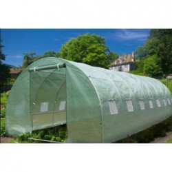 Arch Plastic Film Greenhouse 24m² (3х8m)