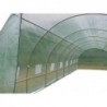 Arch Plastic Film Greenhouse 24m² (3х8m)