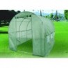 Arch Plastic Film Greenhouse 6m² (2х3m)