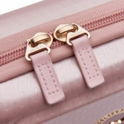 DELSEY BAG TURENNE HORIZONTAL CLUTCH PEONY