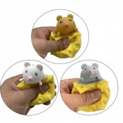 Mouse in Cheese Squishy Mouse Sensory Pop It