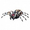 Remote Controlled Spider Tarantula Infrared Black R/C ST