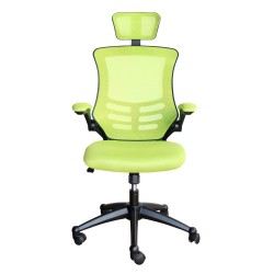 Рабочий стул RAGUSA светло-зеленый