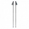 Trekking poles Black Diamond DISTANCE Z POLES PEWTER