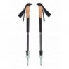 Trail Cork trekking poles Black Diamond - alpine lake