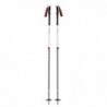 Black Diamond Expedition 2 ski pole 2 pc(s) 145 cm Black, Grey