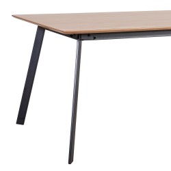 Dining table HELENA 160x90xH75cm, oak