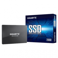 Gigabyte GP-GSTFS31256GTND...