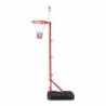 ZDK881G BASKETBALL HOOP NILS