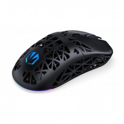 ENDORFY EY6A016 mouse Gaming Right-hand Bluetooth Optical 26000 DPI