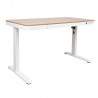 Desk ERGO with 1 motor 120x60xH72-121cm, white oak