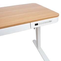Desk ERGO with 1 motor 120x60xH72-121cm, white oak