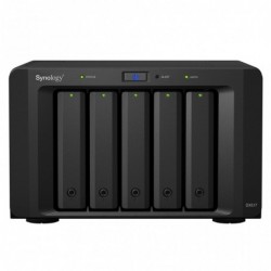 Synology DX517 disk array...