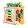 Wooden Educational Cube Sorter 5in1 Puzzle Box Blocks