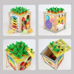 Wooden Educational Cube Sorter 5in1 Puzzle Box Blocks