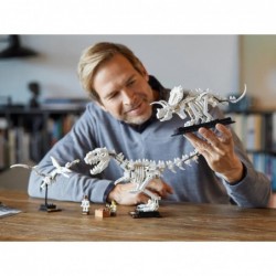 LEGO IDEAS 21320 Dinosaur Fossils