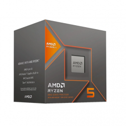 AMD Ryzen 5 8600G AM5...