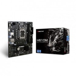 Biostar H610MHP motherboard...