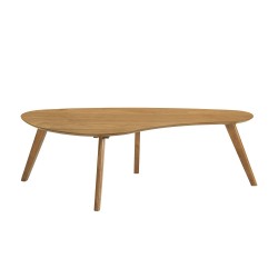 Coffee table SCARLETTE 120x60xH38cm, oak