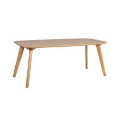 Придиванный столик DAHLIA 110x50xH42,5см, дуб