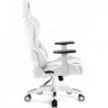 Fotel gamingowy DIABLO  X-ONE 2.0 normal fotel biało-czarny