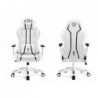 Fotel gamingowy DIABLO  X-ONE 2.0 normal fotel biało-czarny