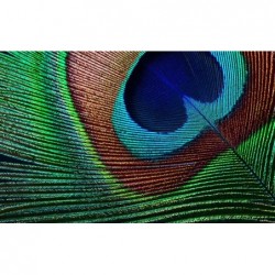 EPSON PROJECTOR EH-TW7000 LCD 3000ANSI 4K 40000:1