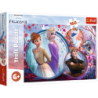 Puzzle - 160 - Sister Adventure - Disney Frozen Trefl 15374