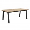 Dining table BRIGHTON 180x95xH75cm