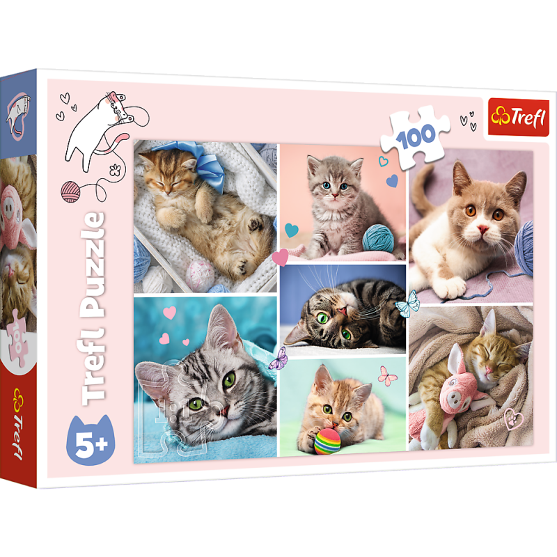 Puzzle - 100 - In the cat world - Trefl 16420