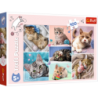 Puzzle - 100 - In the cat world - Trefl 16420