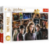 Harry Potter Puzzle 160 pcs. Harry Potter and Friends Trefl 15418