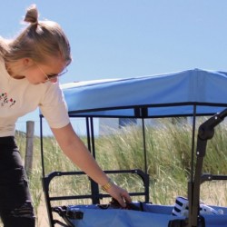 AXI Składany Wózek Plażowy z Dachem Hamulcem i Torbą 80Kg