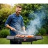 IDEAL Electric garden grill