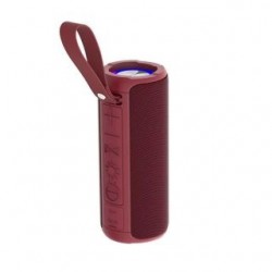 Bezvadu skaļrunis Denver...