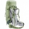 Plecak turystyczny Deuter Aircontact Lite 45 + 10 SL grove-ivy