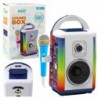 Sound Box Music Kit Microphone Bluetooth Speaker MP3 Recording LED