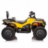 Quad Can Am Outlander 4x4 DK-CA005 Yellow