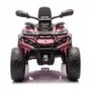 Quad Can Am Outlander 4x4 DK-CA005 Light Pink
