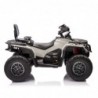 Quad Can Am Outlander 4x4 DK-CA005 Gray