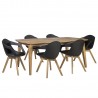 Dining set RETRO table, 6 chairs (37035)